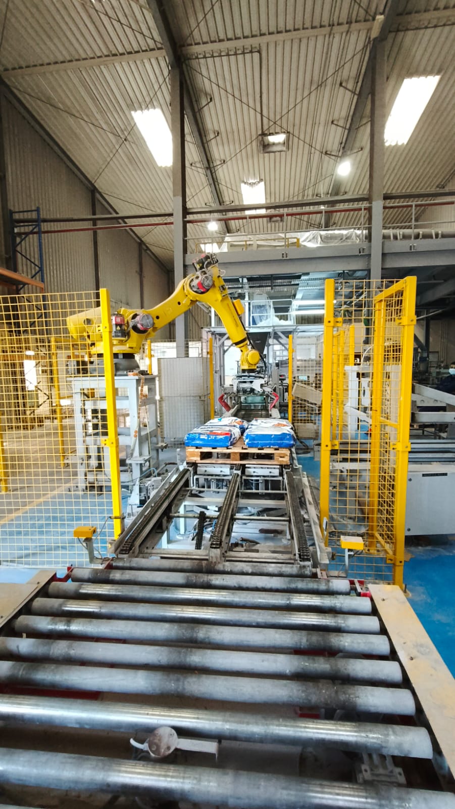 Precision Automation for High-Speed End-of-Line Operations
