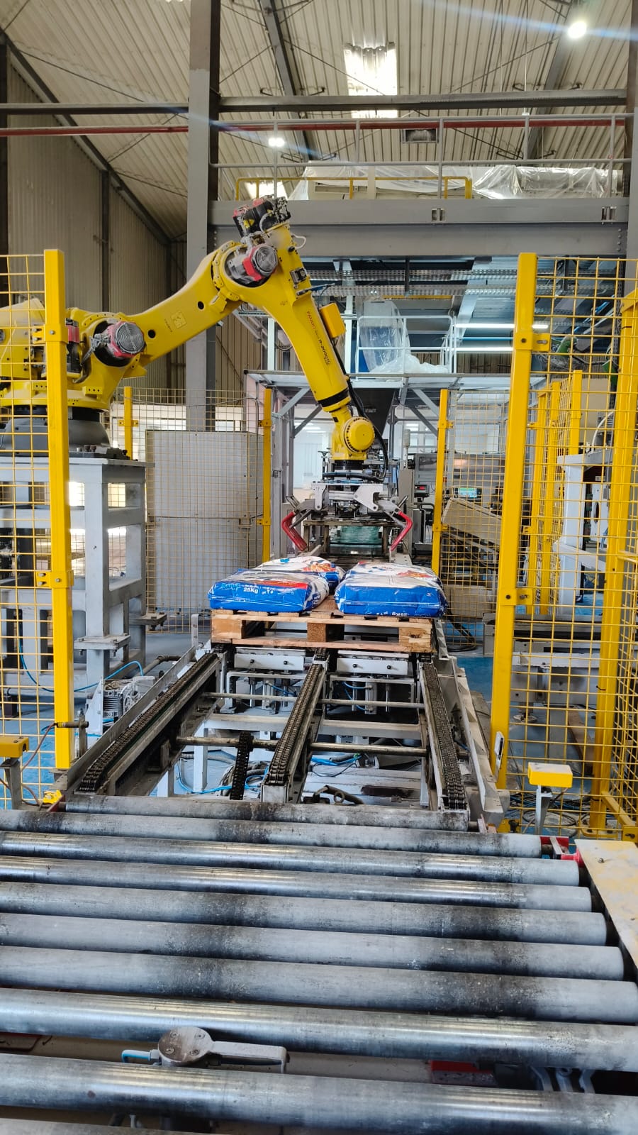 Precision Automation for High-Speed End-of-Line Operations